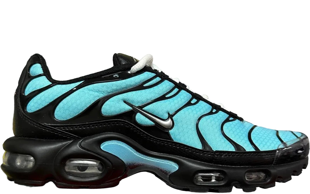 NIKE AIR MAX PLUS Aqua Blue