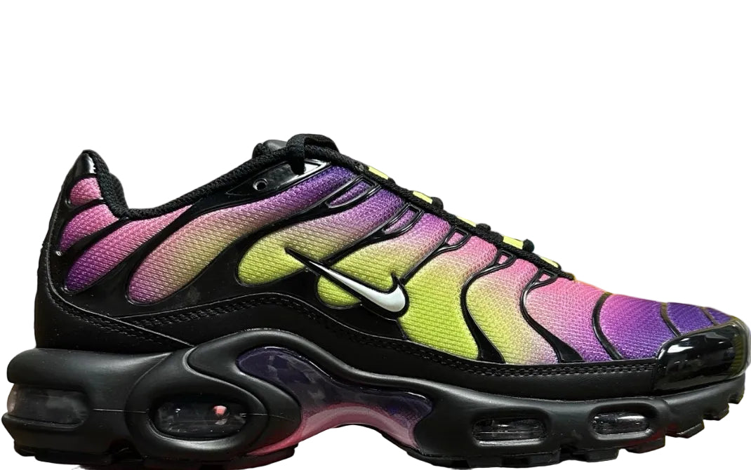 NIKE AIR MAX PLUS Northern Lights