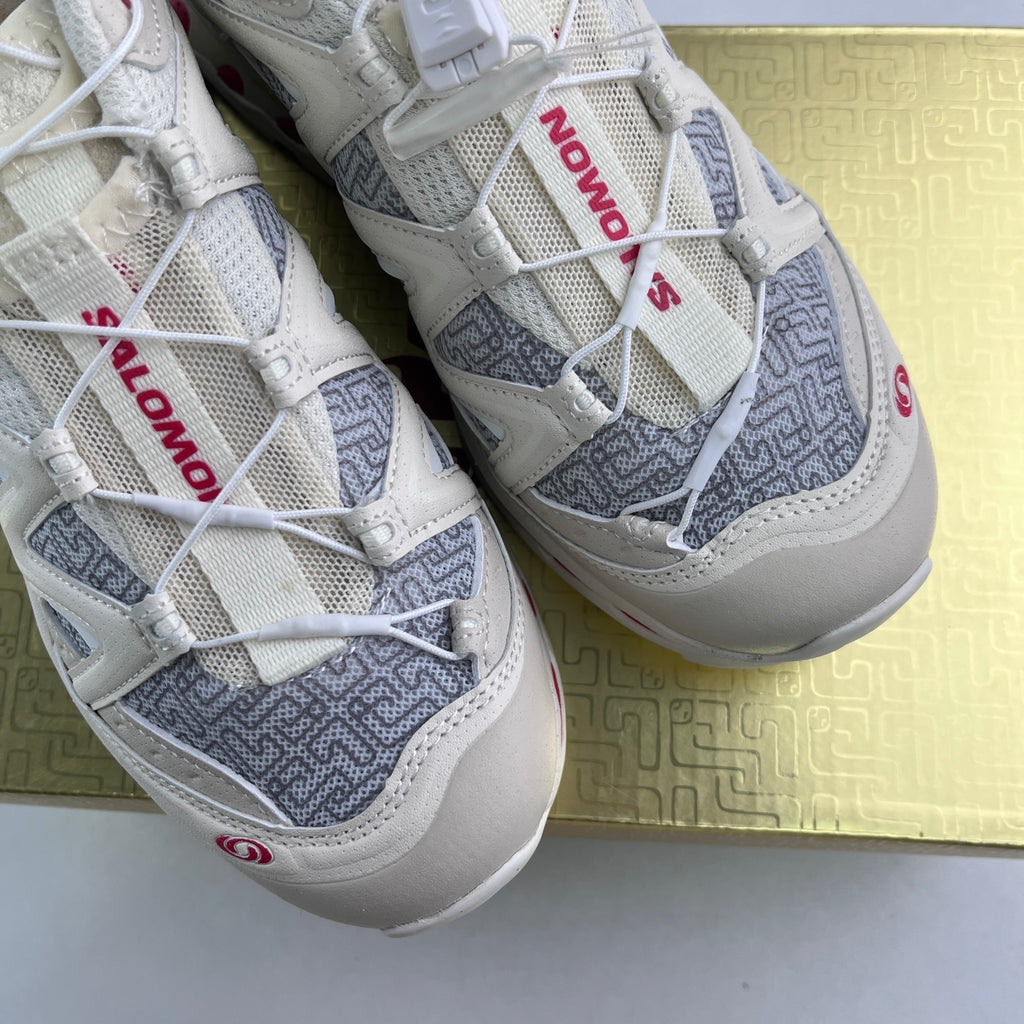 SALOMON-XT-Quest PANHUI 'Vanilla Ice'