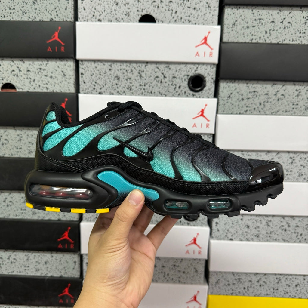 NIKE AIR MAX PLUS Black Dusty Cactus
