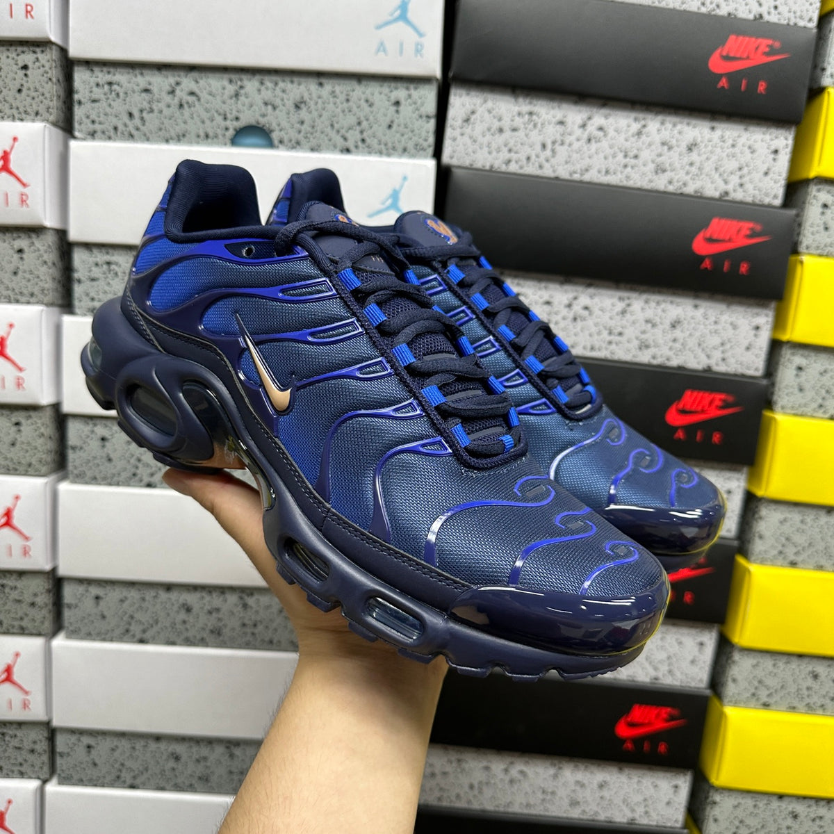 NIKE AIR MAX PLUS French Football Federation