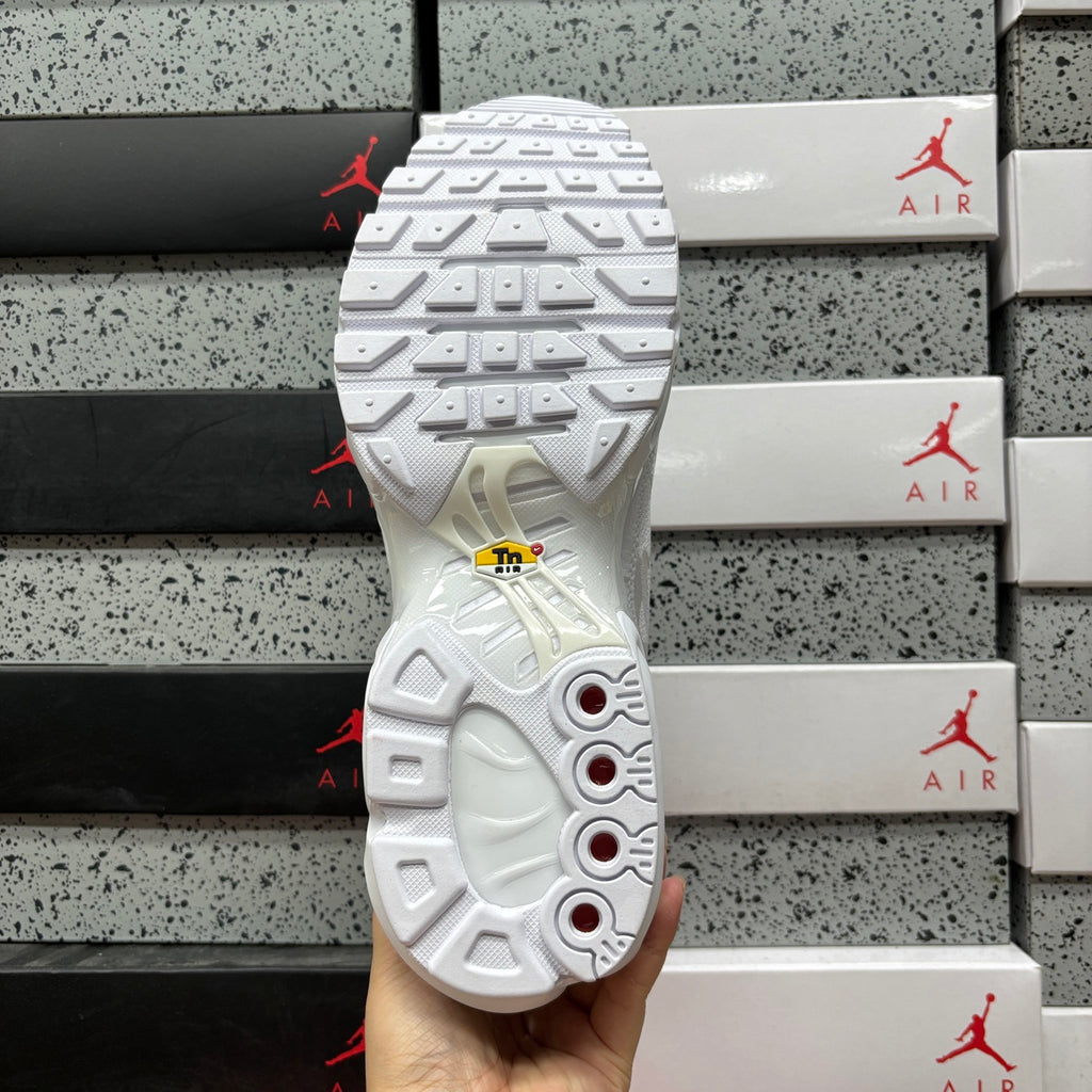 NIKE AIR MAX PLUS Triple White