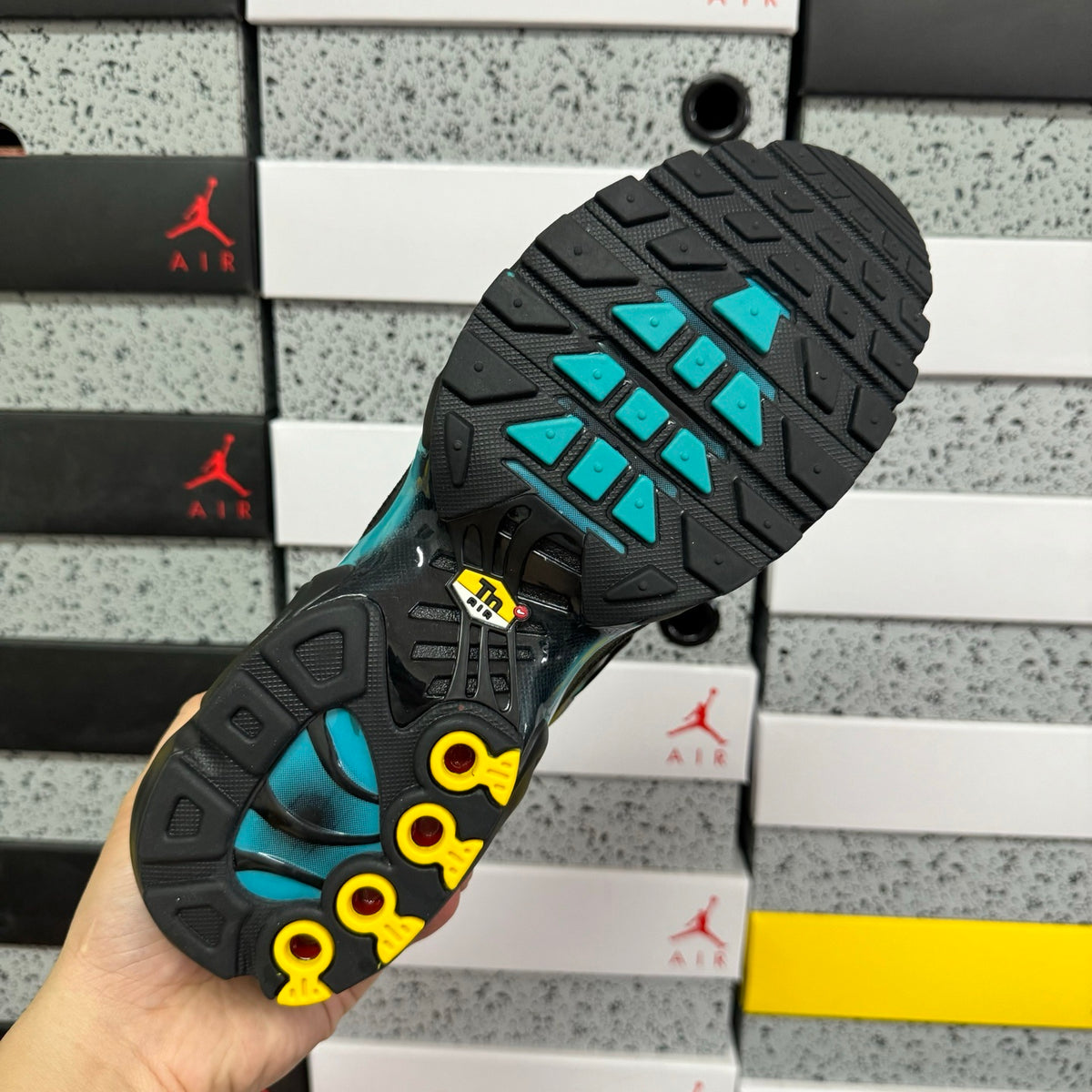 NIKE AIR MAX PLUS Black Dusty Cactus