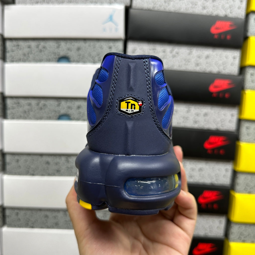 NIKE AIR MAX PLUS French Football Federation