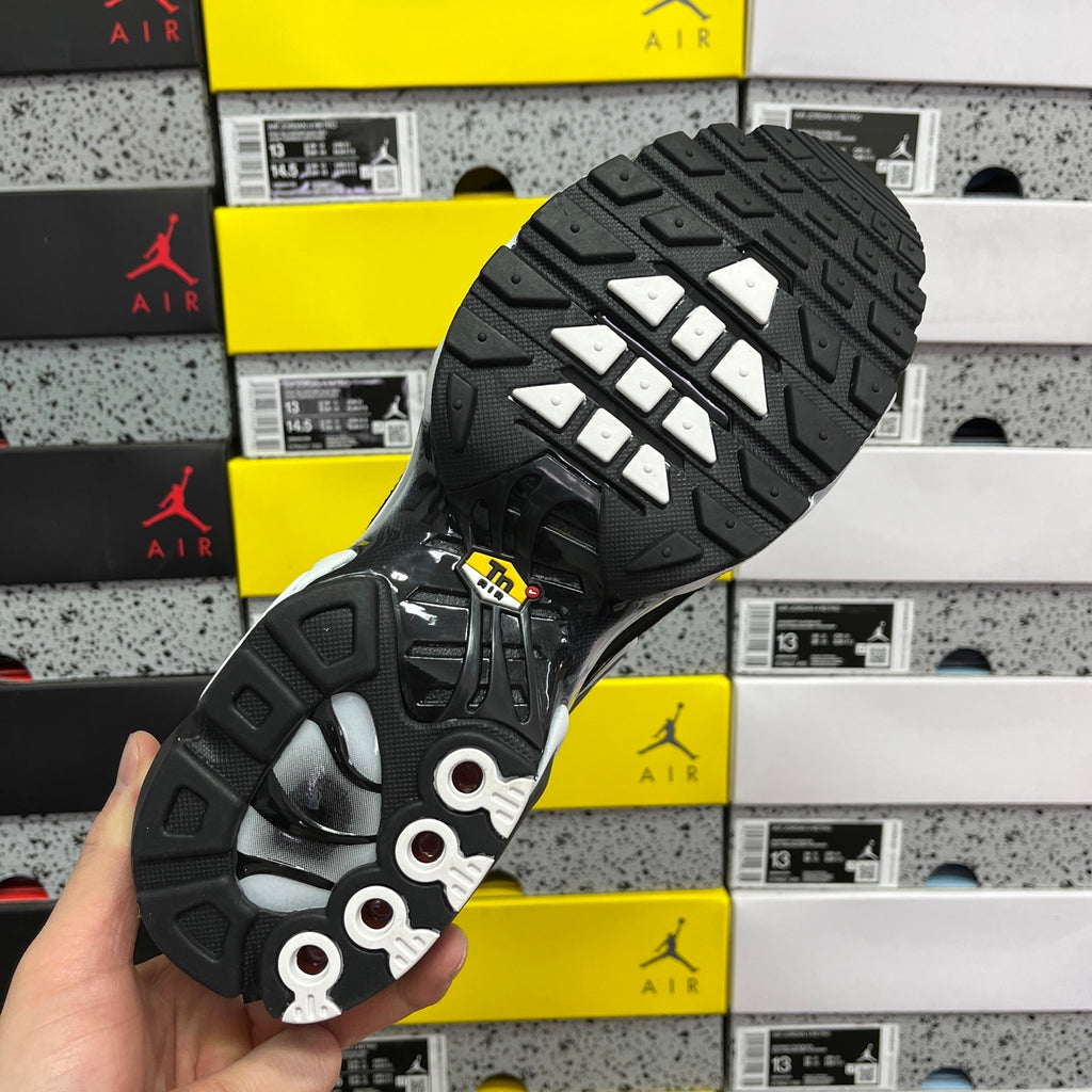 NIKE AIR MAX PLUS Black Silver White