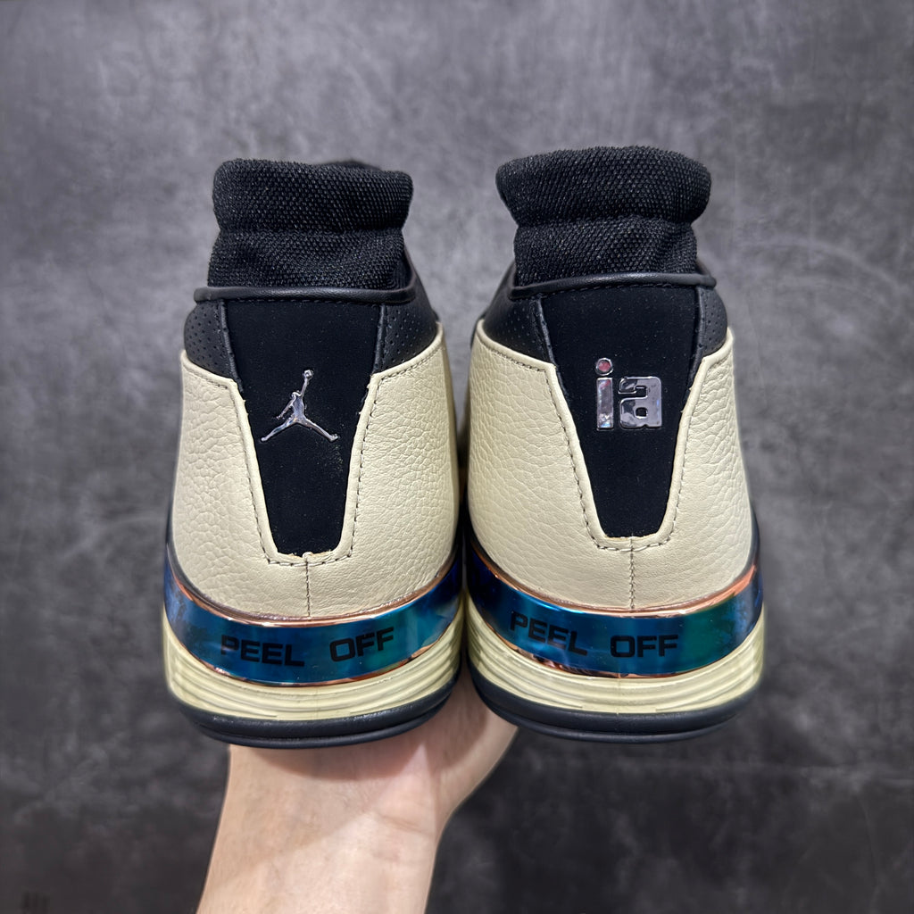 Jordan 17 Retro SP Low 'Infinite Archives'