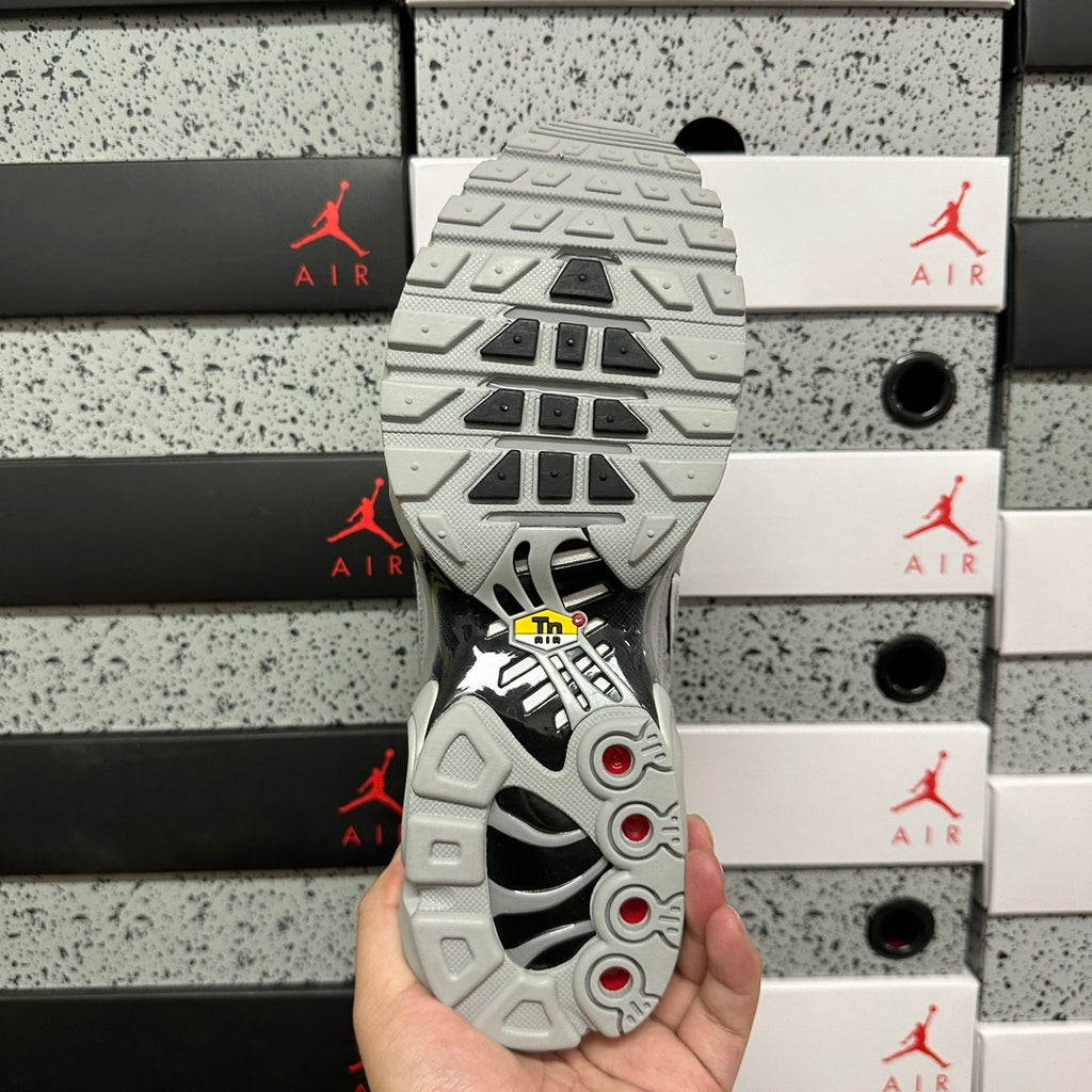 NIKE AIR MAX PLUS Wolf Grey