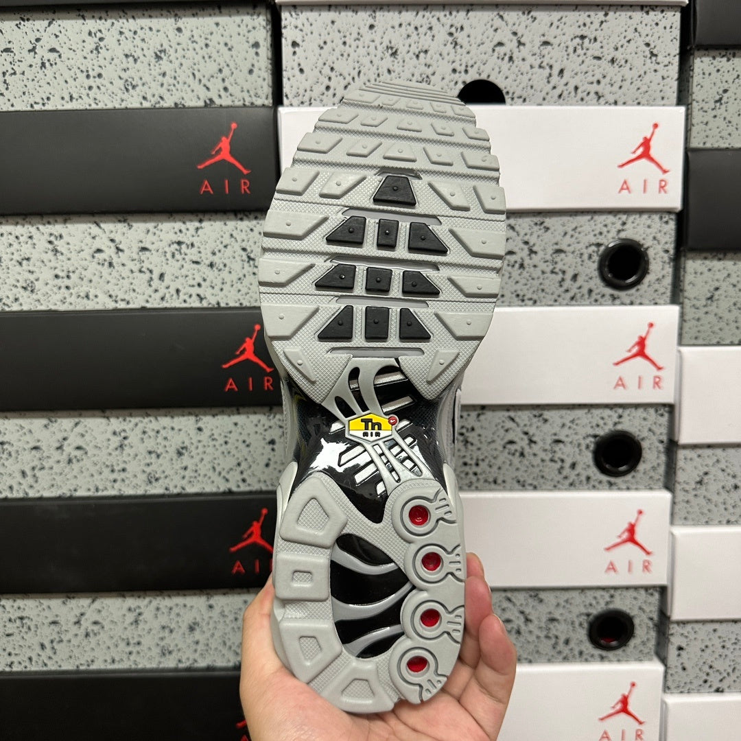 NIKE AIR MAX PLUS Wolf Grey