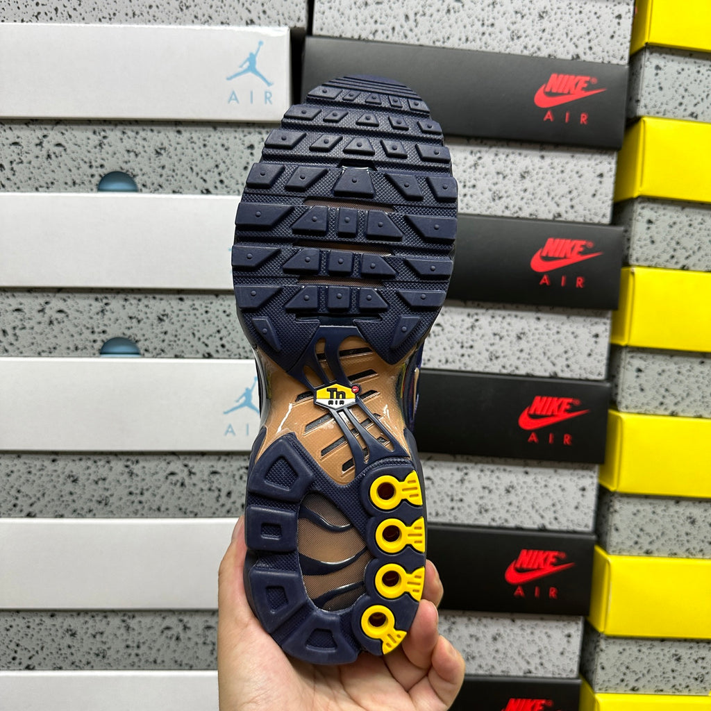 NIKE AIR MAX PLUS French Football Federation