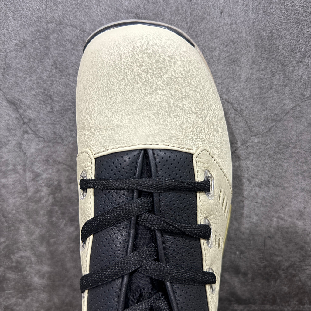 Jordan 17 Retro SP Low 'Infinite Archives'