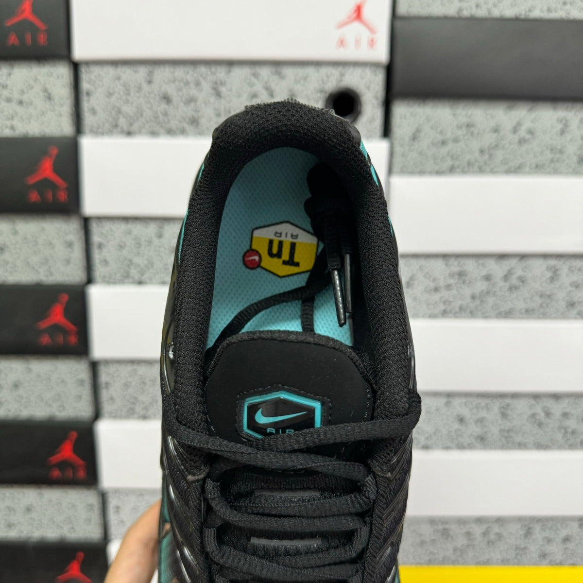 NIKE AIR MAX PLUS Black Dusty Cactus