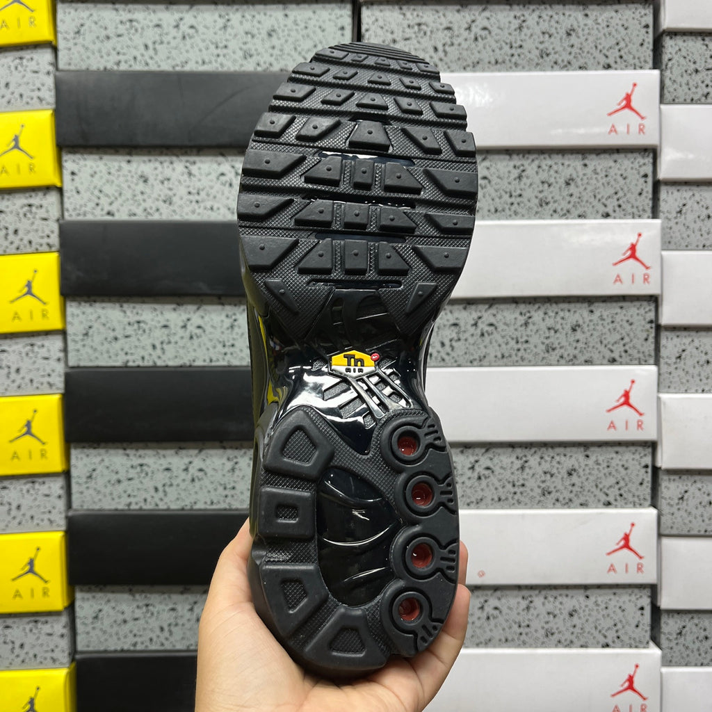 NIKE AIR MAX PLUS Triple BLACK