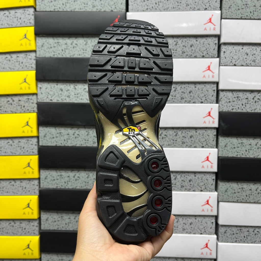 NIKE AIR MAX PLUS Black Honey