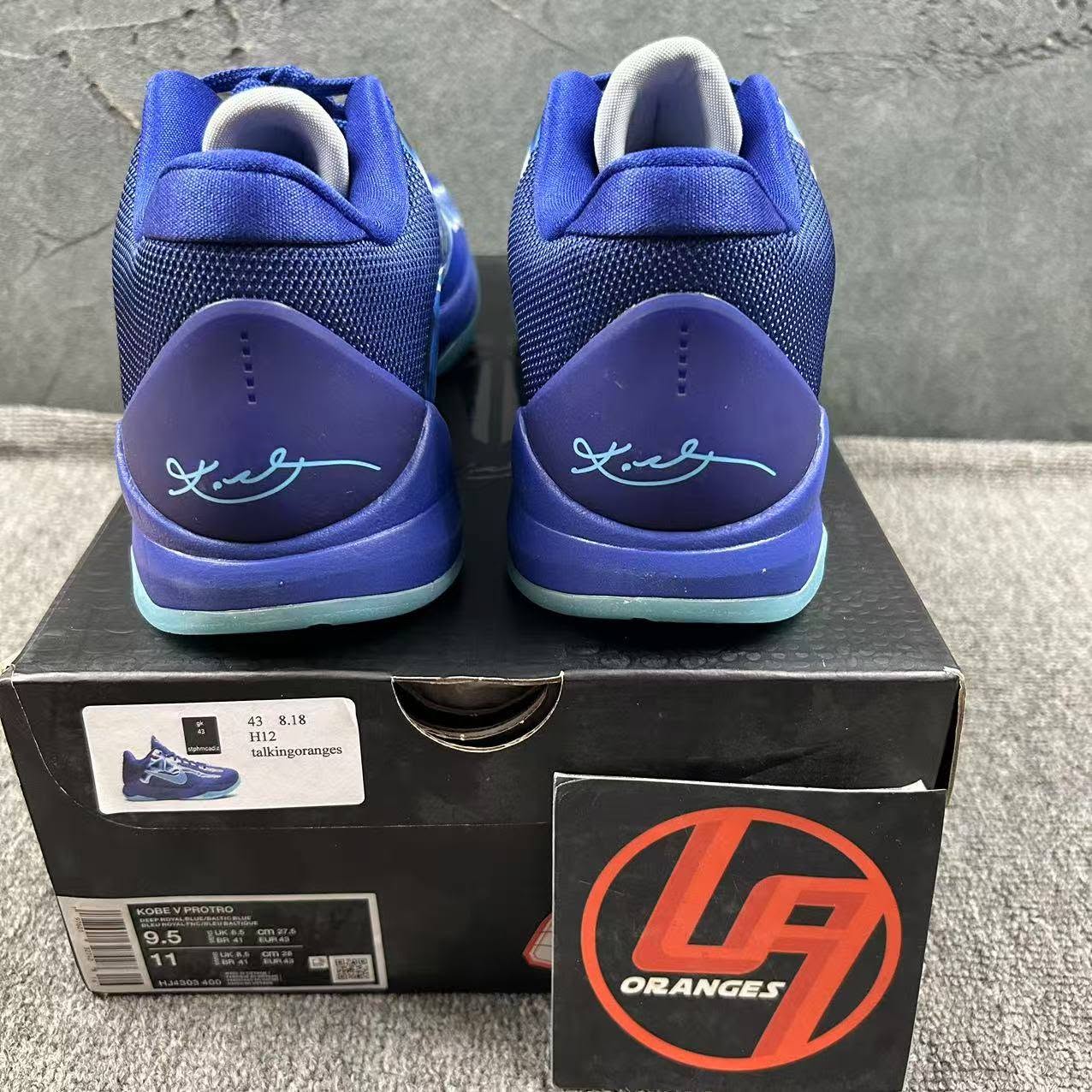 Kobe 5 Protro X-Ray