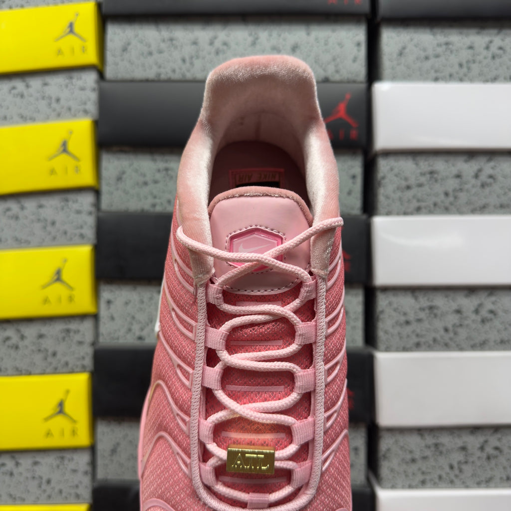 NIKE AIR MAX PLUS City Special ATL