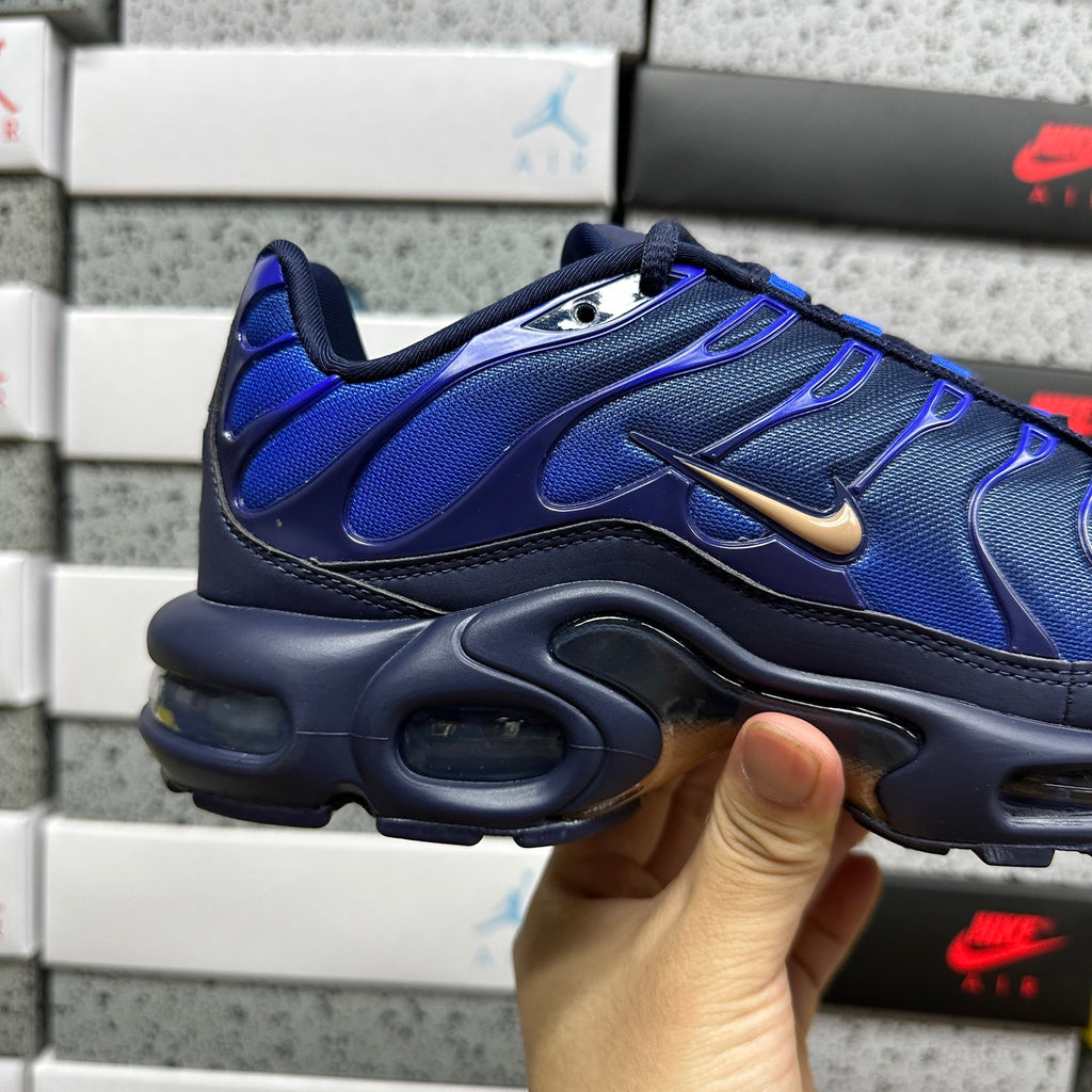 NIKE AIR MAX PLUS French Football Federation