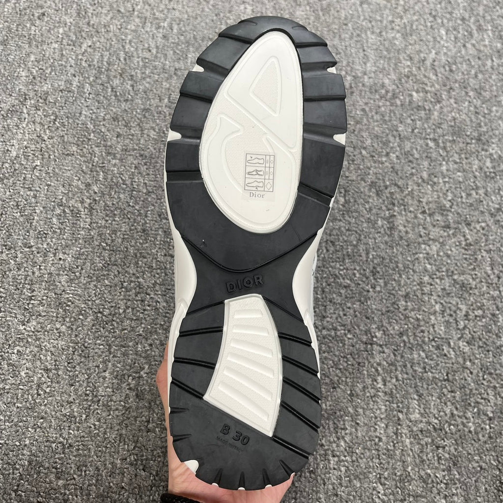 DIOR B30 SNEAKER white and grey