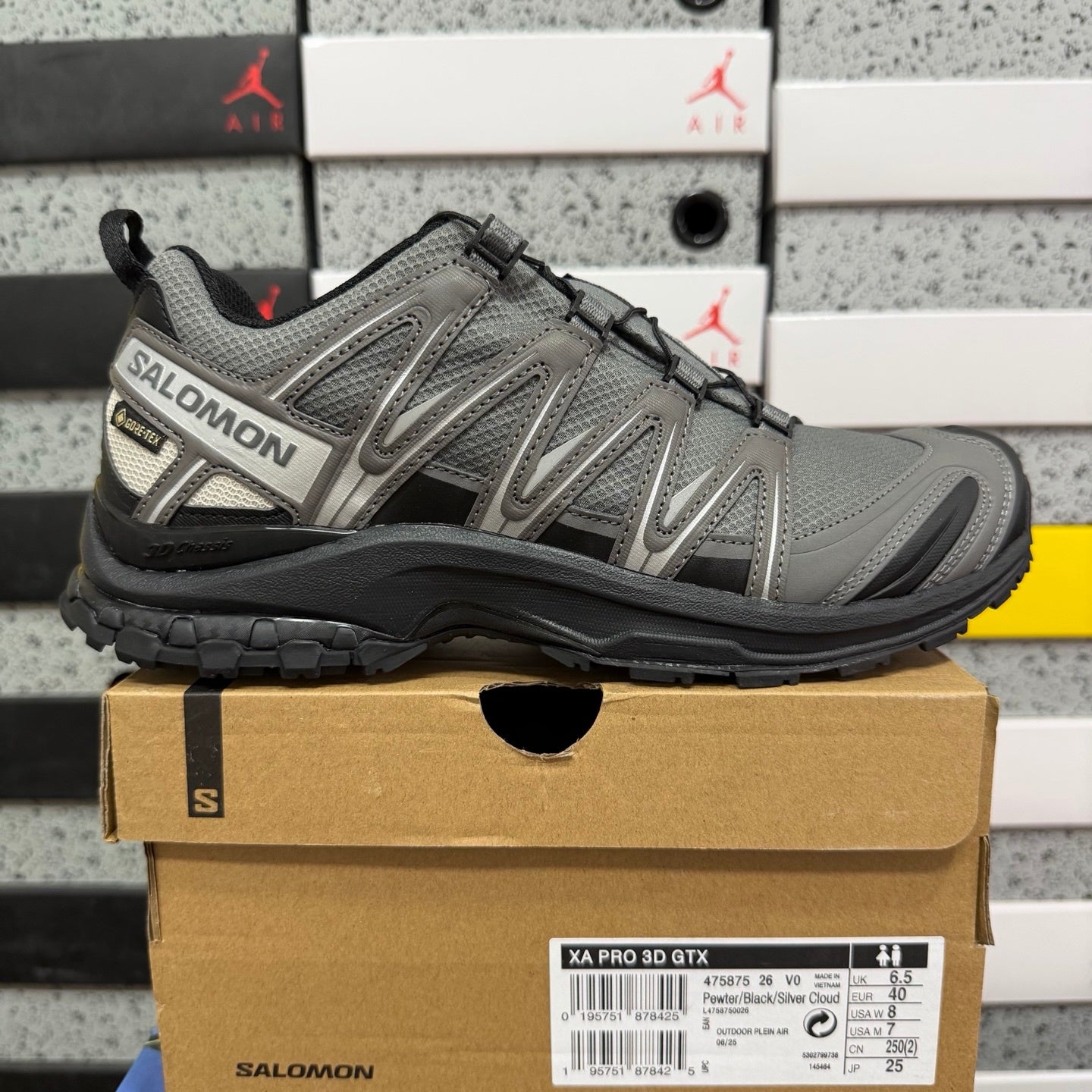 SALOMON-XA Pro 3D Gore-Tex 'Pewter Silver Cloud'