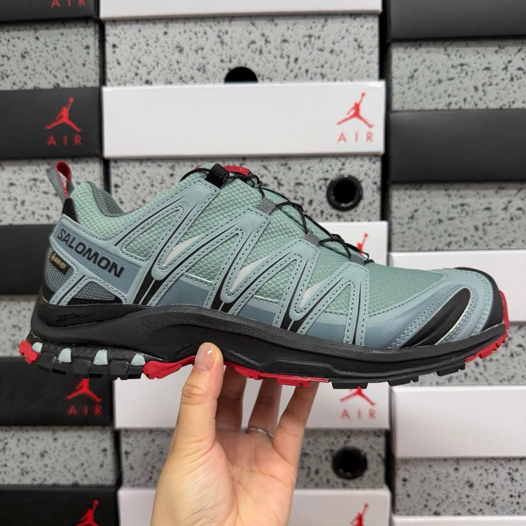 SALOMON-XA Pro 3D Gore-Tex 'Lead Barbados Cherry'