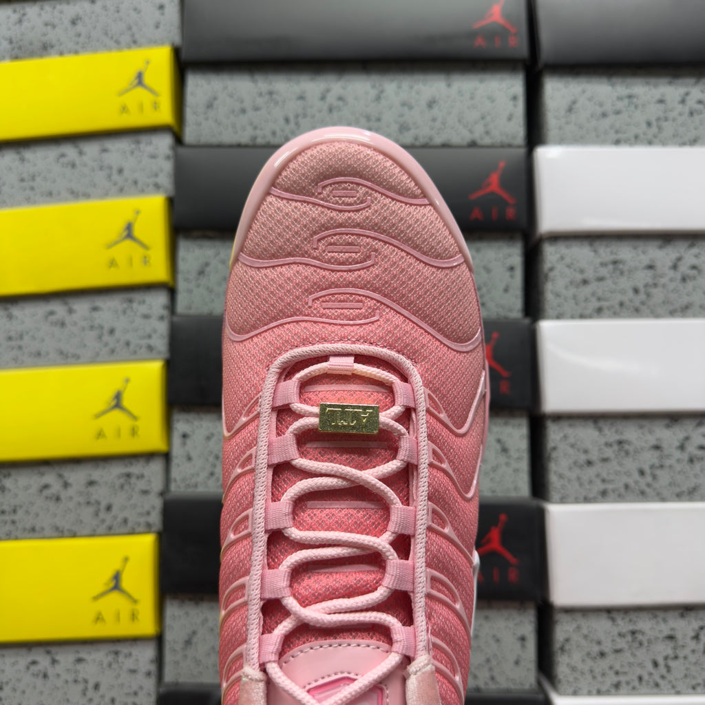 NIKE AIR MAX PLUS City Special ATL