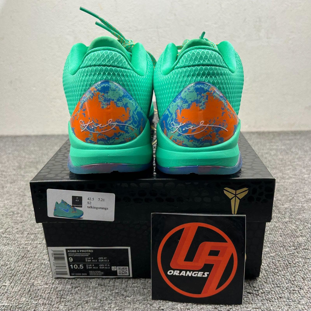 Kobe 5 Protro NY vs NY