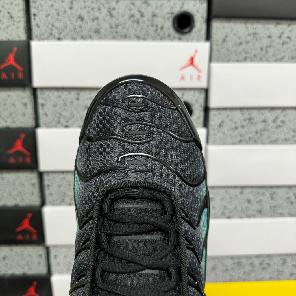 NIKE AIR MAX PLUS Black Dusty Cactus