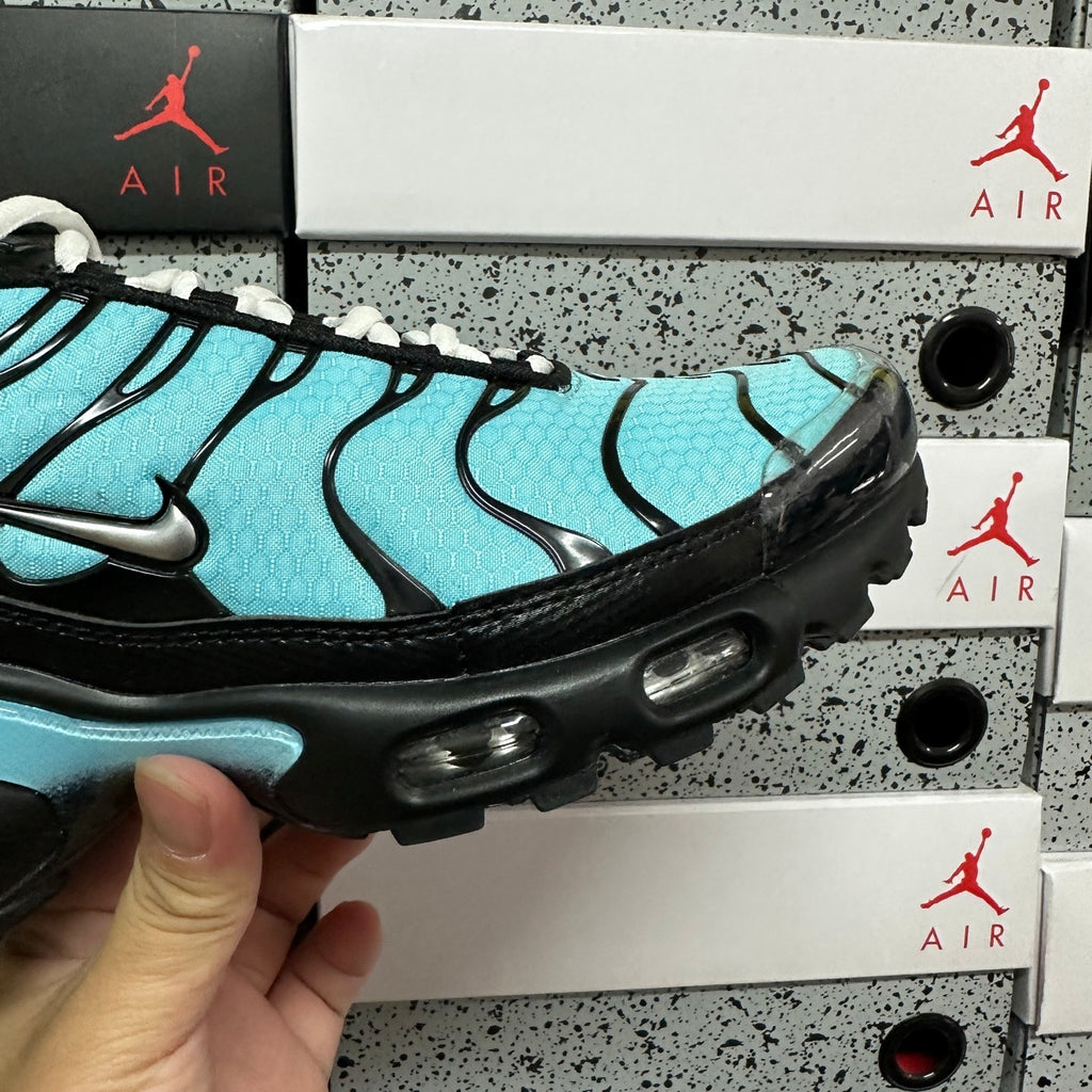 NIKE AIR MAX PLUS Aqua Blue