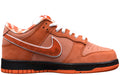 Nike SB Dunk  Low   x Concepts "Orange Lobster"