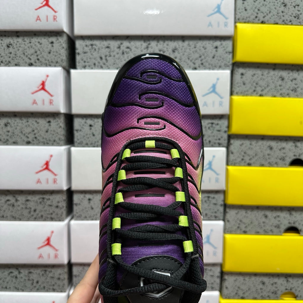 NIKE AIR MAX PLUS Northern Lights