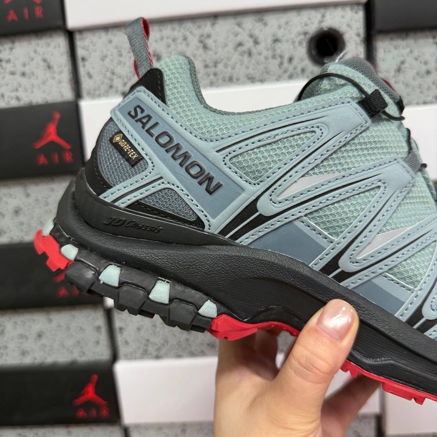 SALOMON-XA Pro 3D Gore-Tex 'Lead Barbados Cherry'
