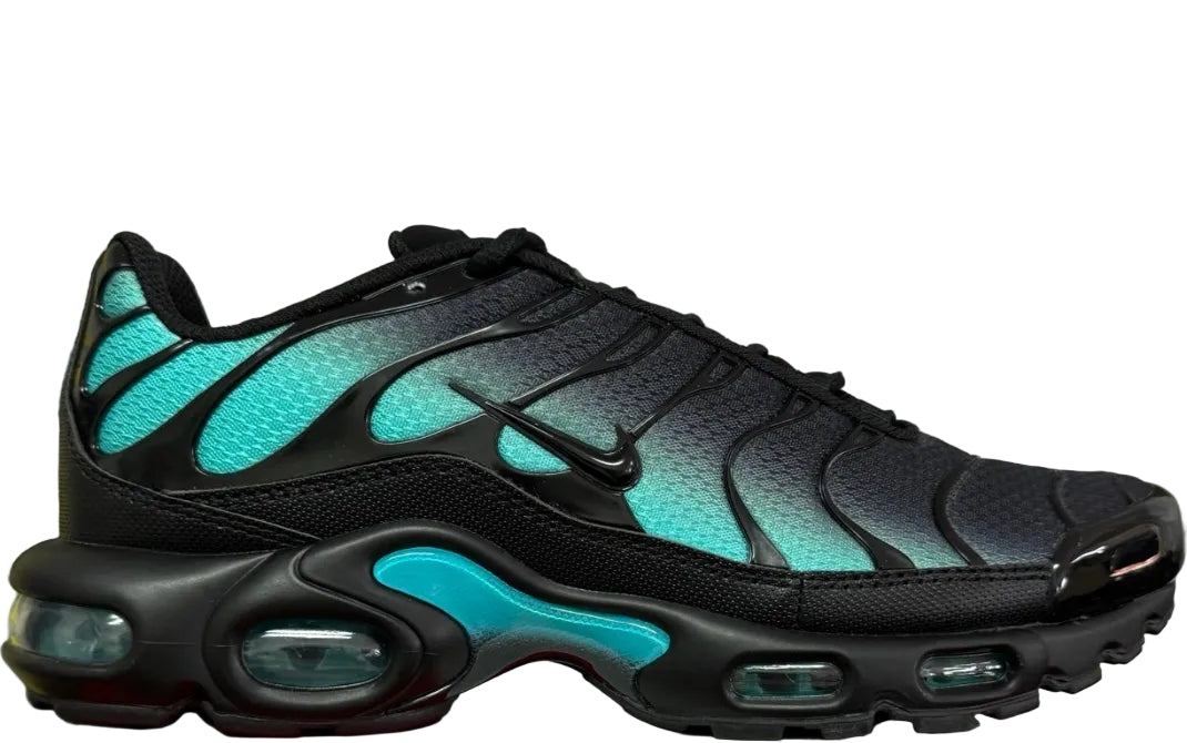 NIKE AIR MAX PLUS Black Dusty Cactus