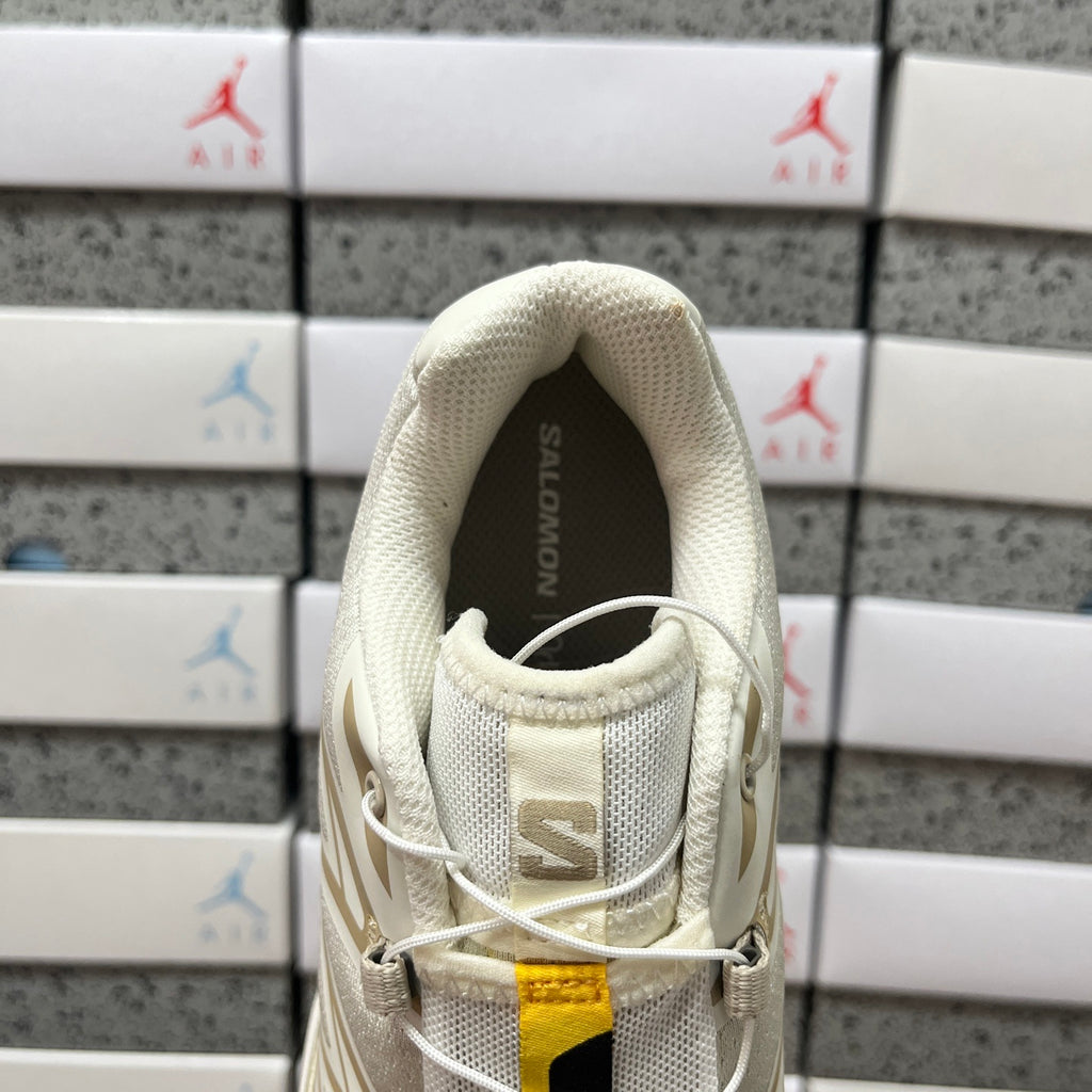 SALOMON-XT-6 'Vanilla Ice Iron Etherea'