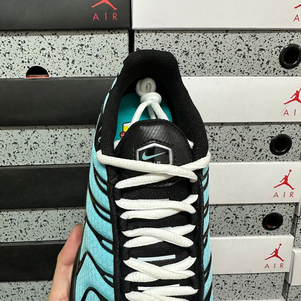 NIKE AIR MAX PLUS Aqua Blue
