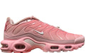 NIKE AIR MAX PLUS City Special ATL