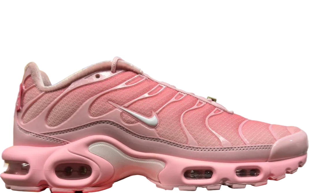 NIKE AIR MAX PLUS City Special ATL