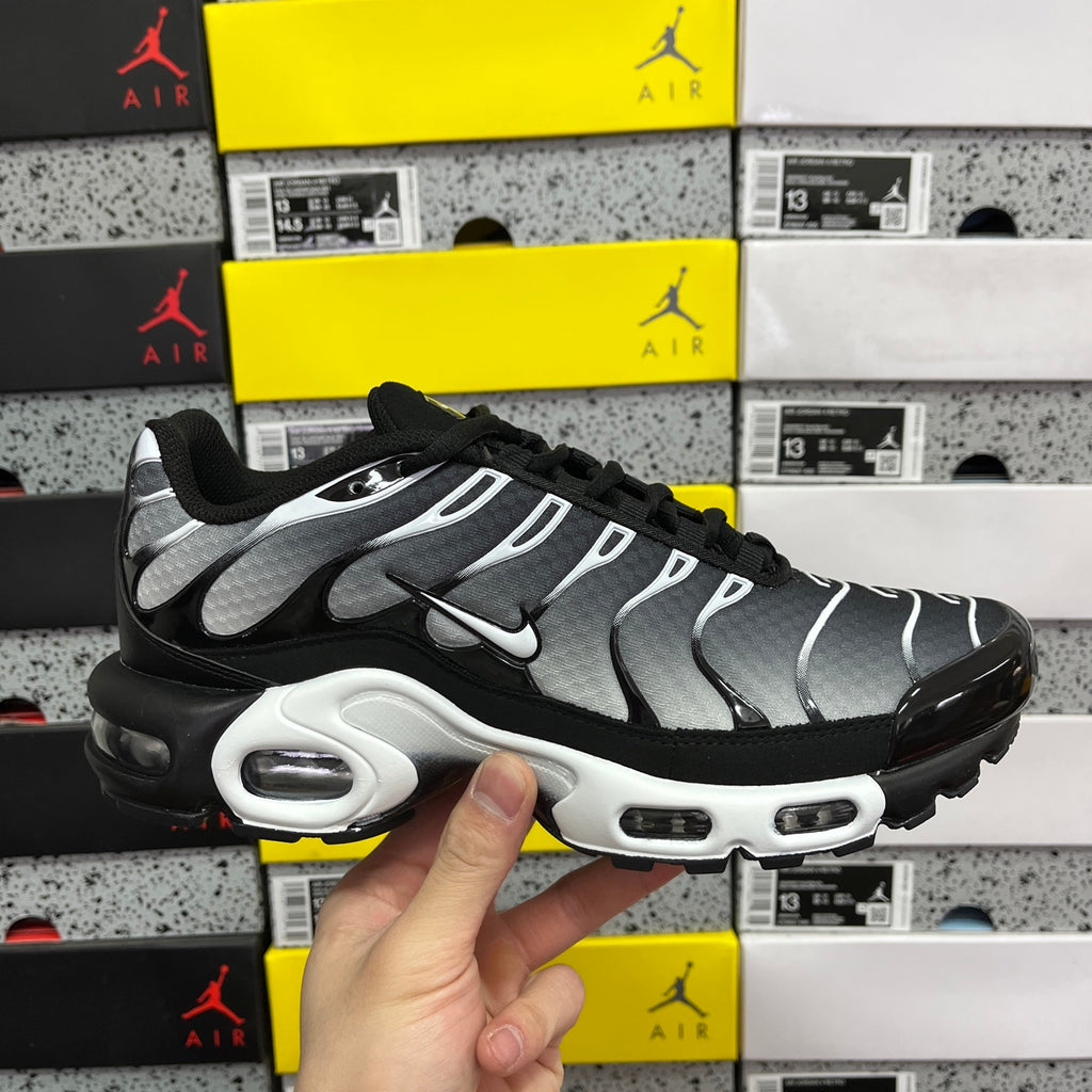 NIKE AIR MAX PLUS Black Silver White