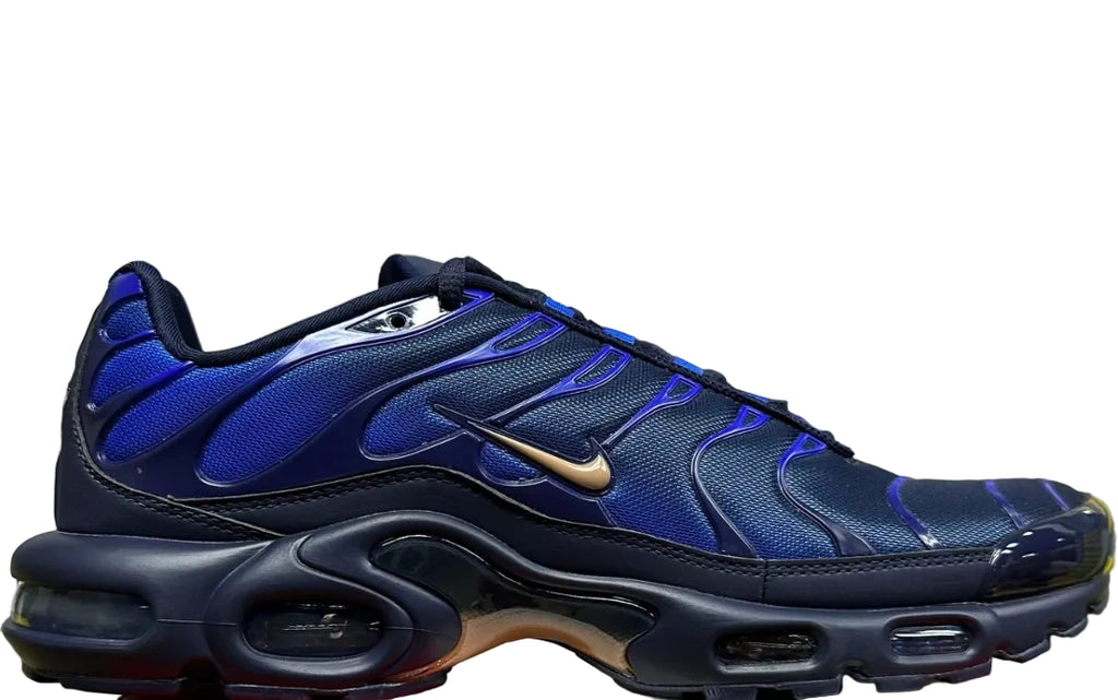 NIKE AIR MAX PLUS French Football Federation