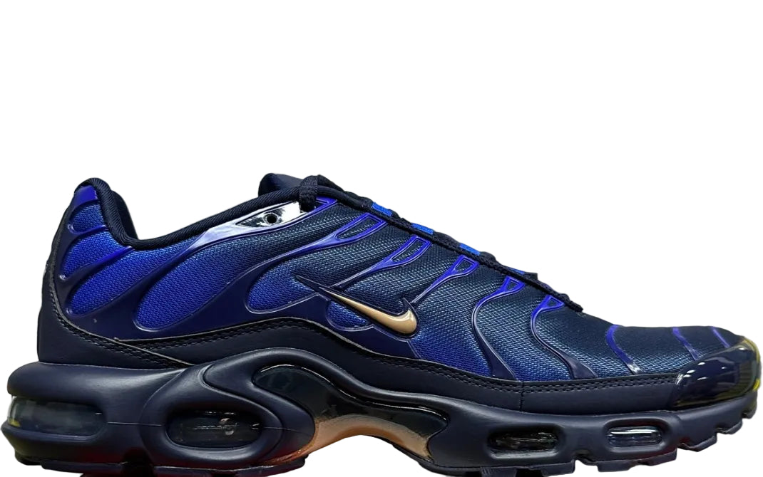 NIKE AIR MAX PLUS French Football Federation