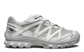 SALOMON-XT-Quest GTX 'Ghost Gray Lunal Rock White'