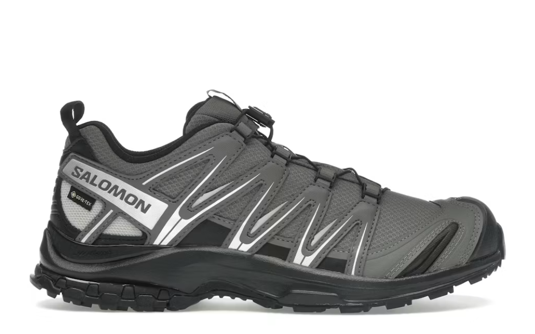 SALOMON-XA Pro 3D Gore-Tex 'Pewter Silver Cloud'