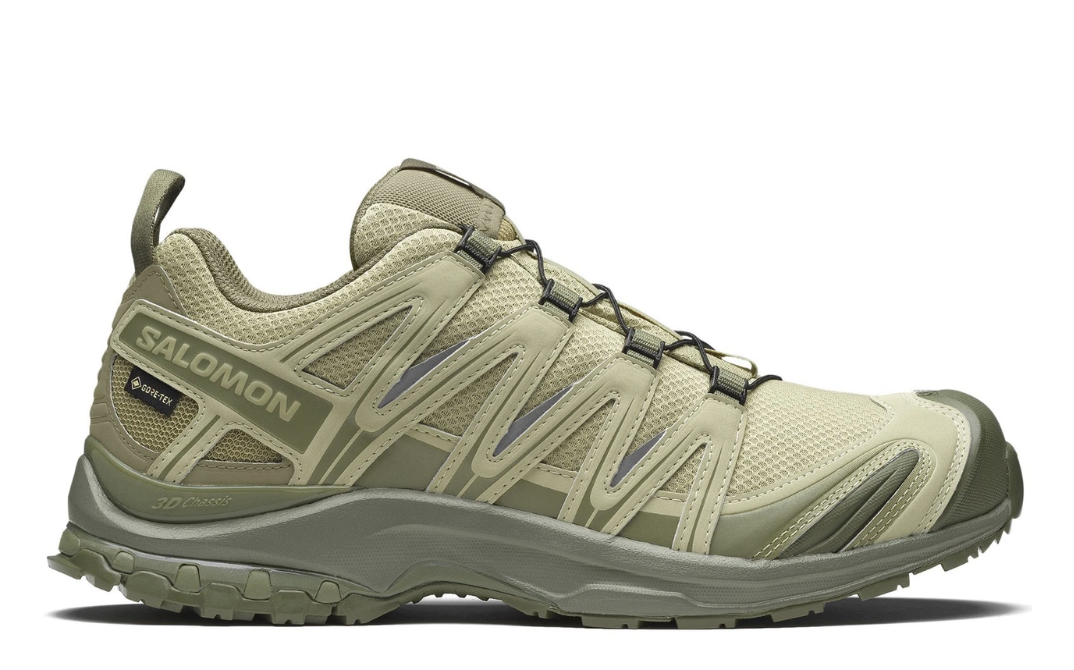 SALOMON-XA Pro 3D Gore-Tex 'Gray Green'
