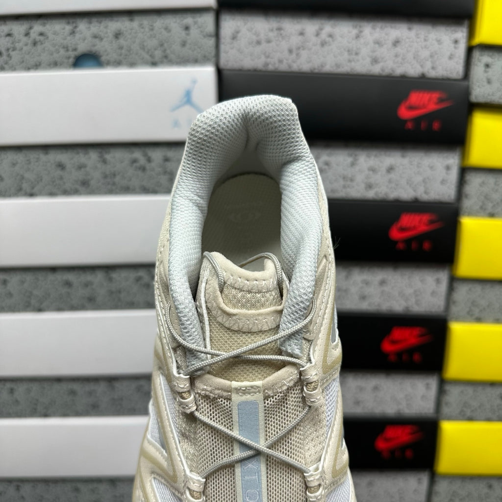 SALOMON-XT-Quest 'White/Rainy Day/Ancient Water'