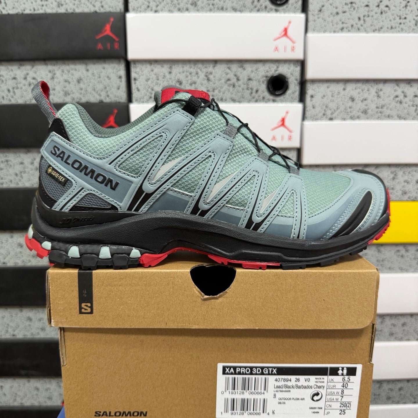 SALOMON-XA Pro 3D Gore-Tex 'Lead Barbados Cherry'
