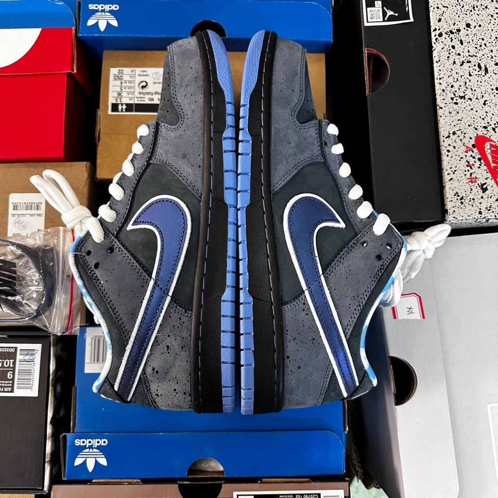 SB Dunk Low Concepts Blue Lobster - OG version (FREE SHIPPING)