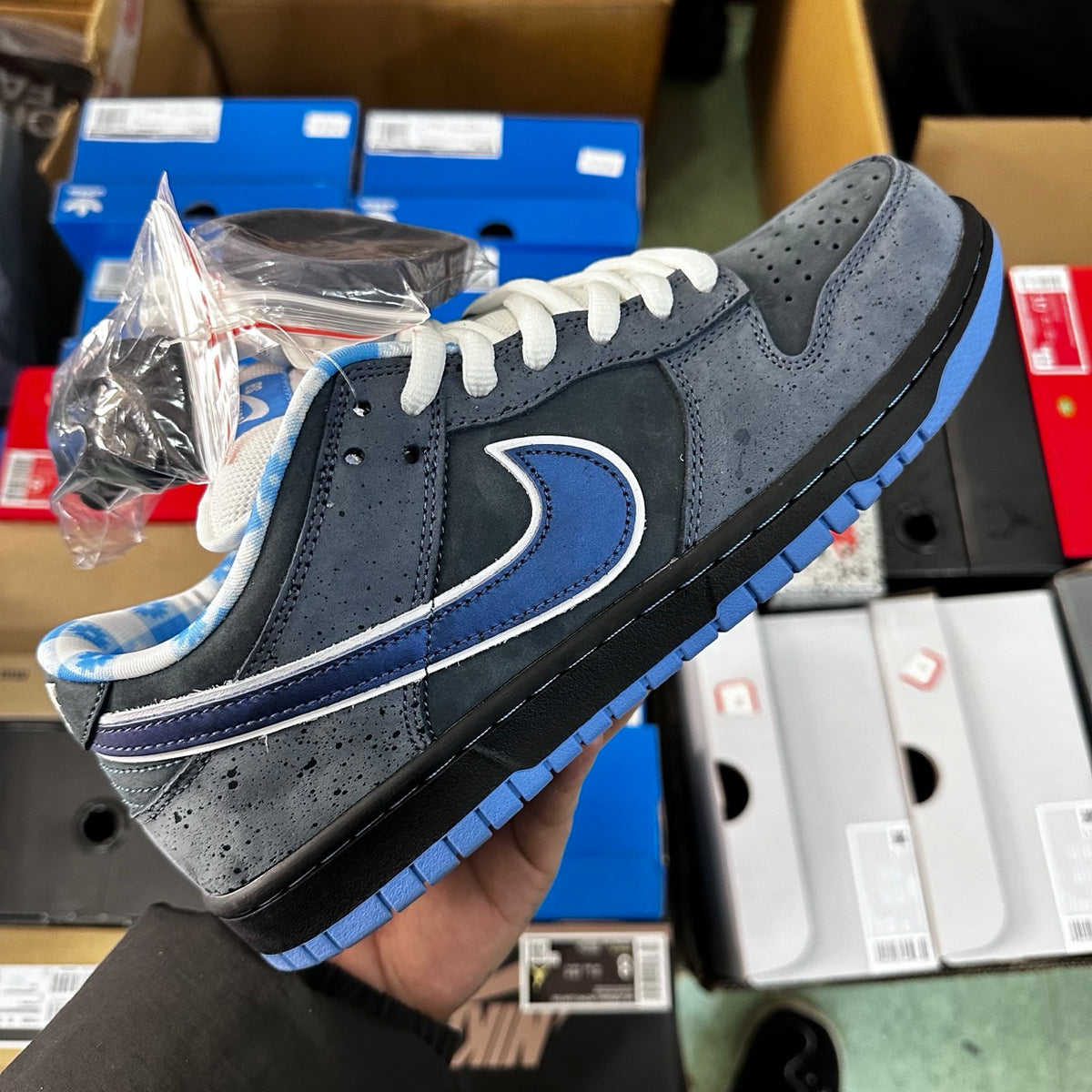 SB Dunk Low Concepts Blue Lobster - OG version (FREE SHIPPING)