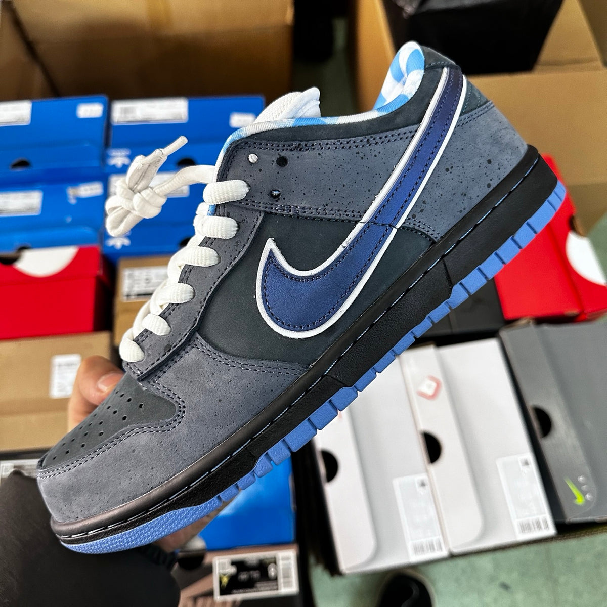 SB Dunk Low Concepts Blue Lobster - OG version (FREE SHIPPING)
