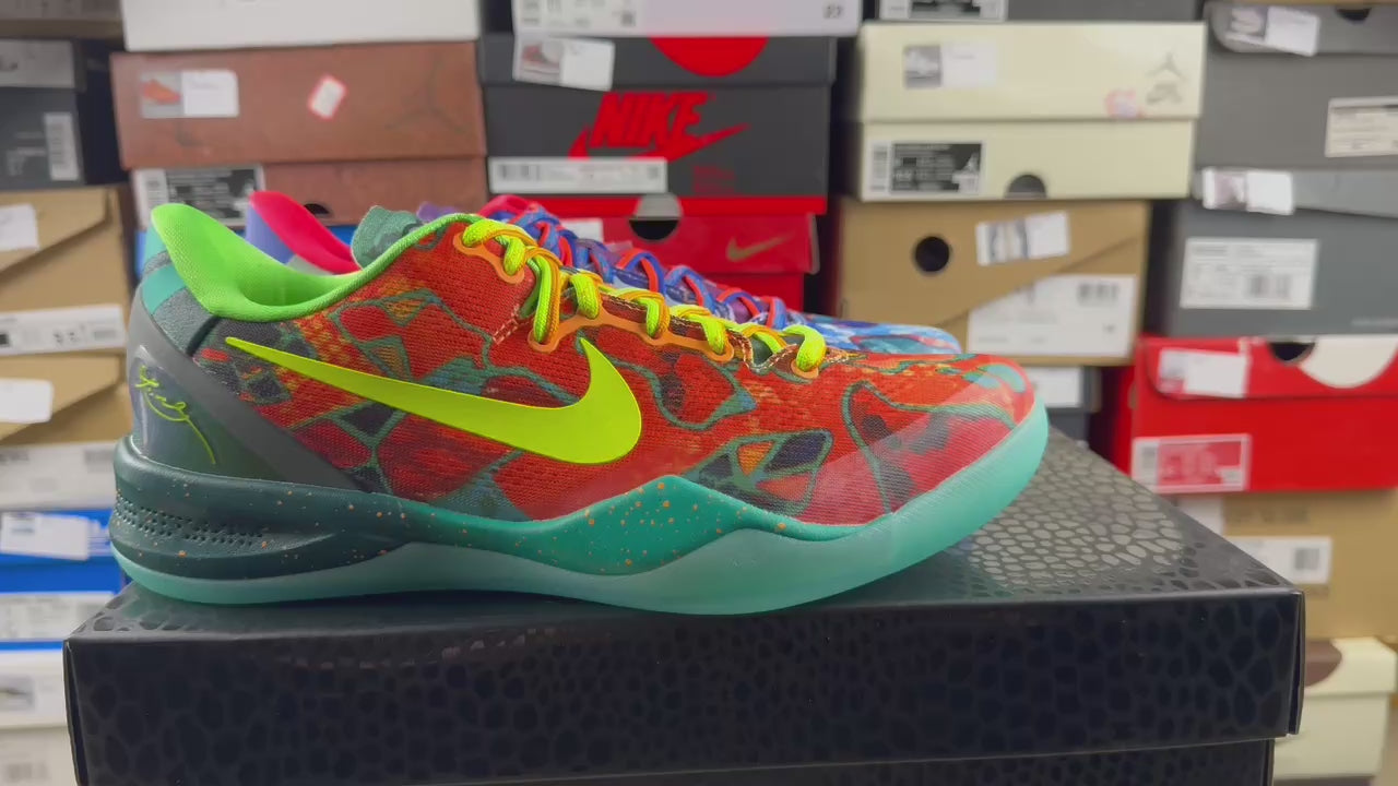 Kobe 8 Protro What The
