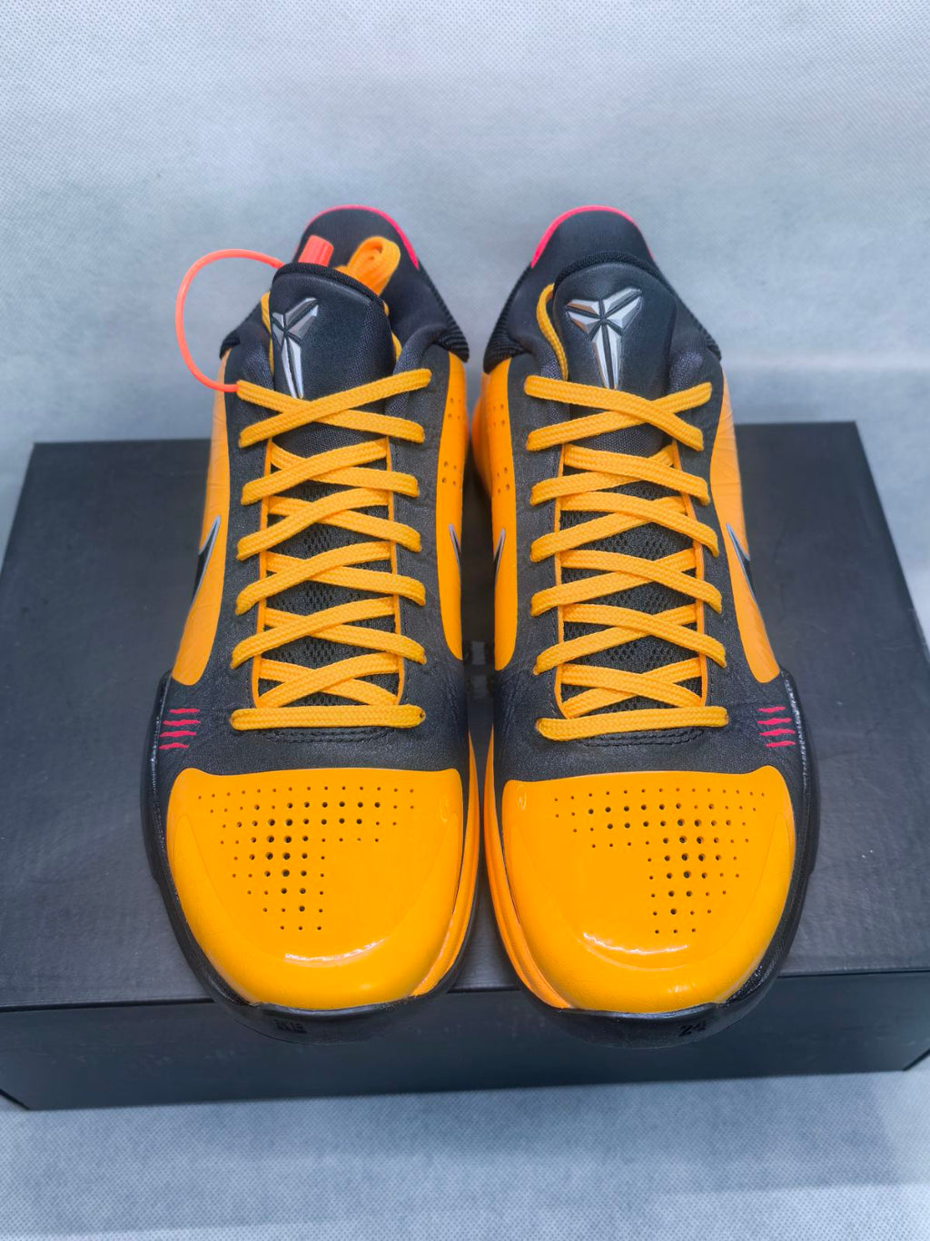 Kobe 5 Protro Bruce Lee