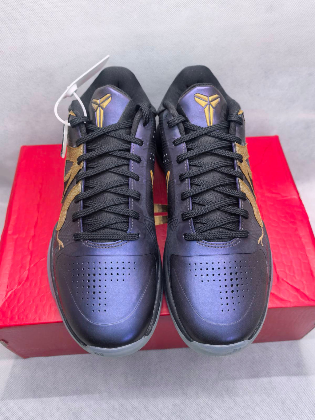 Kobe 5 Protro Year of the Mamba Eggplant