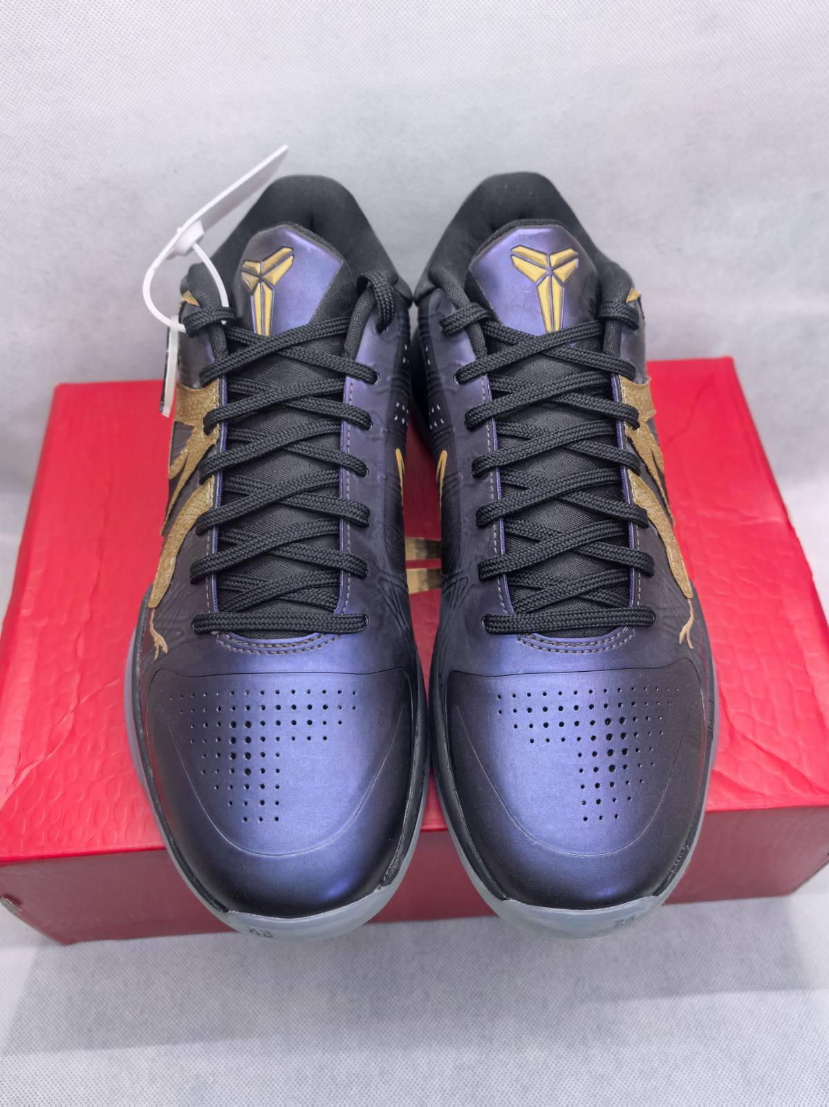 Kobe 5 Protro Year of the Mamba Eggplant